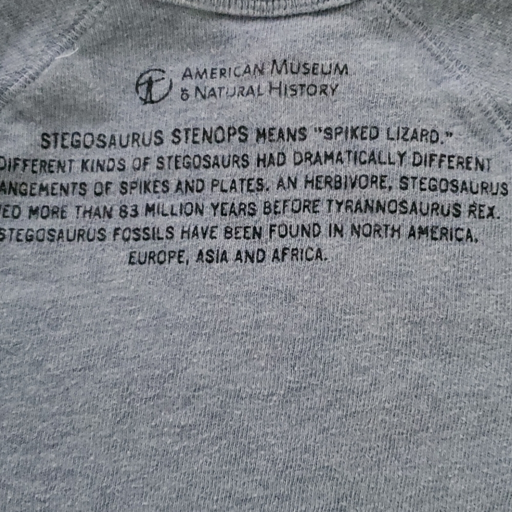 Kids sweatshirt by J Crew - Picture 3 of 4